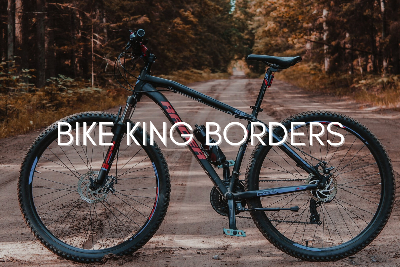 Bike King Borders website cover image. Standing bike on a forest path.